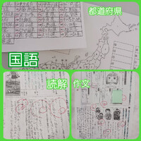 画像255