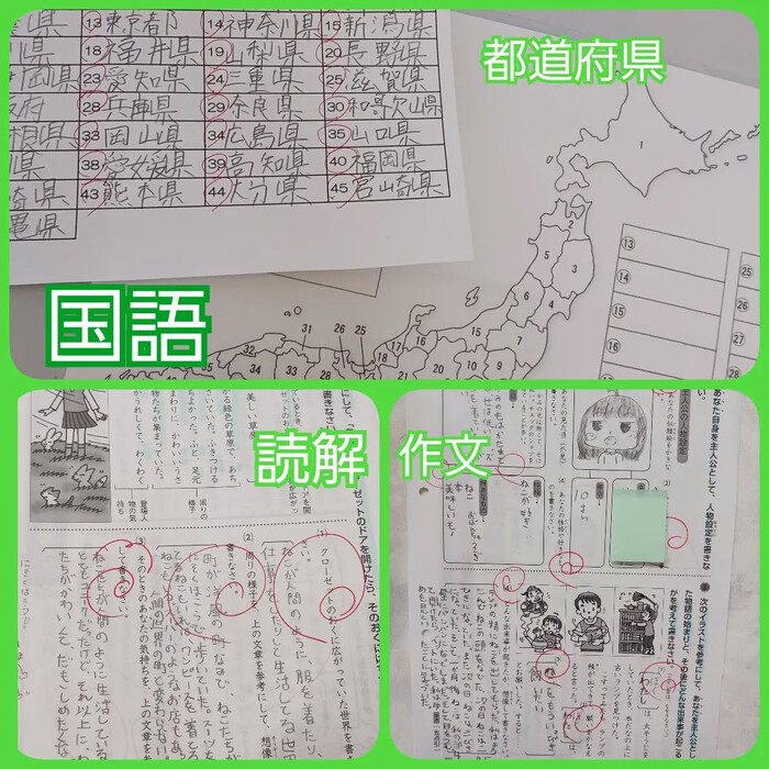 画像255